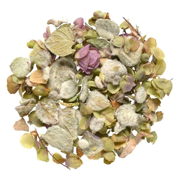 Δίκταμο Κρήτης