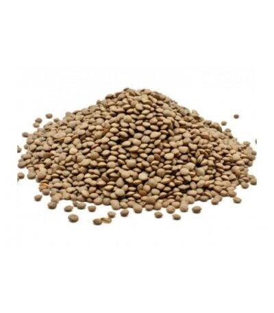 Φακές Φενεού Χύμα