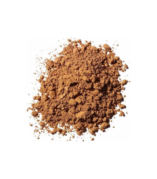 Γανόδερμα Μανιτάρια Αποξηραμένα (Reishi Mushroom) σε Σκόνη Bio
