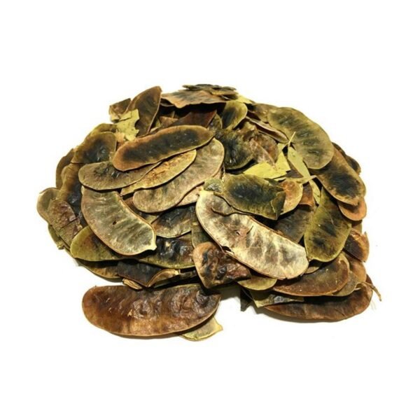 Σέννα Φύλλα (Φύλλα Αλεξανδρείας - Αιγύπτου)