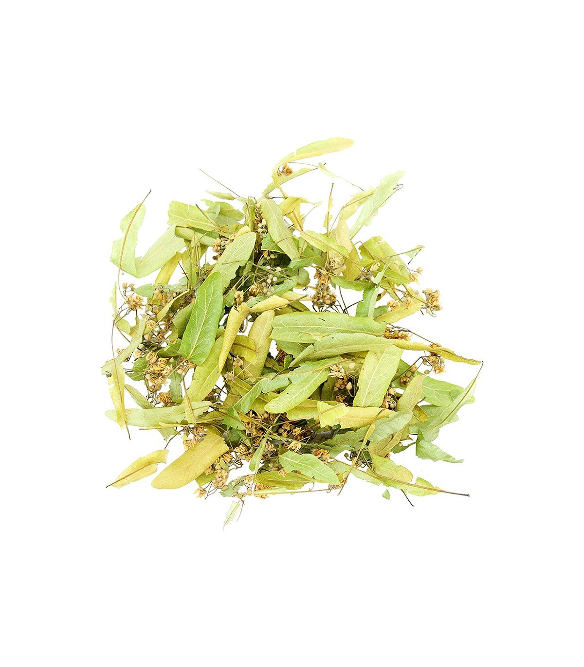 tilio-flamouri-fylla-anthi Τίλιο - Image 1