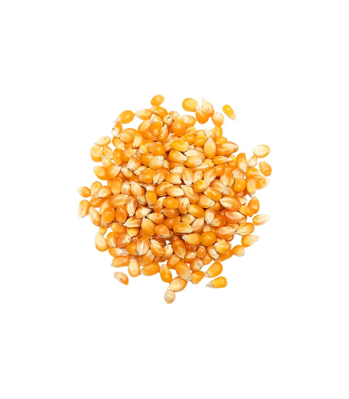 kalampoki-pop-corn Pop Corn - Image 1